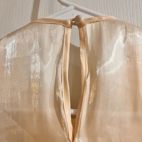 NWT Dear Jose Ivory Organza Blouse - Picture 5 of 14